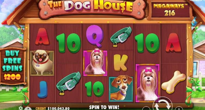 machine a sous the dog house
