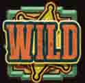 Wanted Dead or a Wild