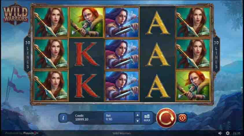 wild warriors game interface