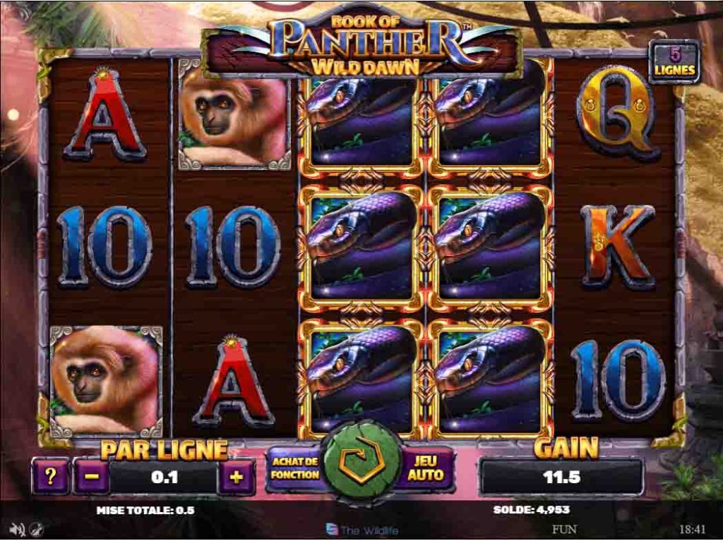 interface de jeu book of panther wild dawn