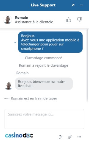 Support Chat Vegasino