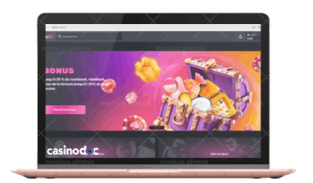 interface ordinateur rakebit