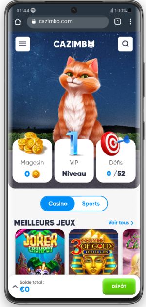 Test de la version mobile sur iPhone 13 PRO (390 X 844)