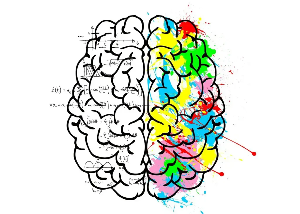 cerveau la gauche logique science