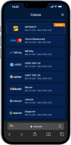capture d'écran interface utilisateur onlywin