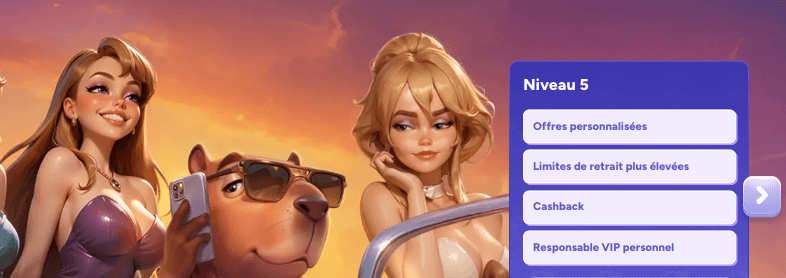 programme VIP sur le casino en ligne Spinbara