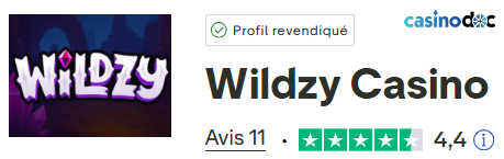 avis des joueurs wildzy casino