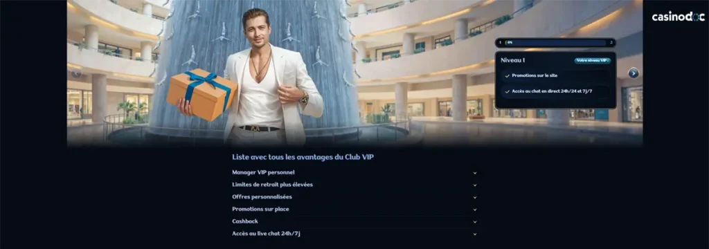 programme vip millioner