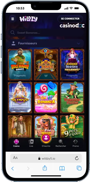 version mobile wildzy casino