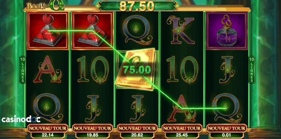 microgaming interface book of oz